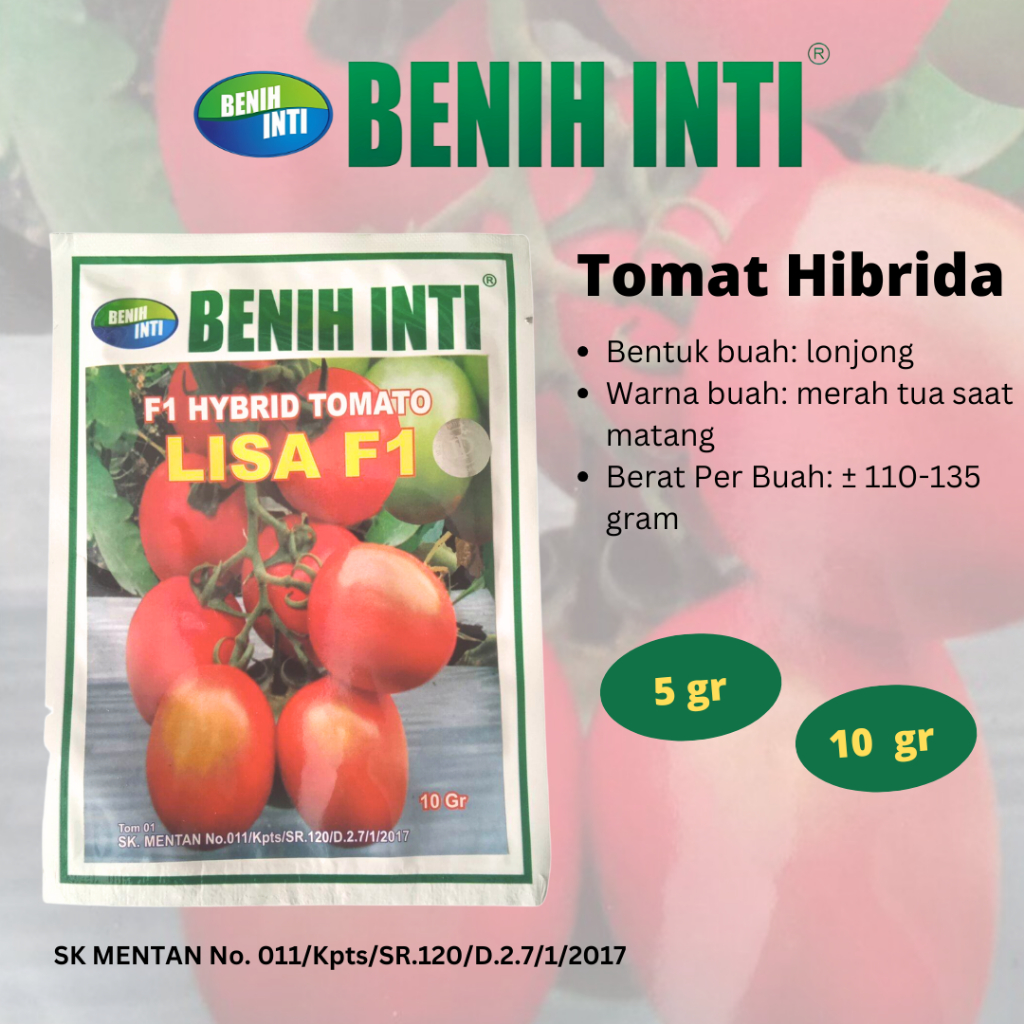 Benih Tomat Hibrida F1 Lisa Benih Inti
