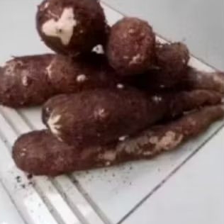 

umbi talas segar,/1 kg