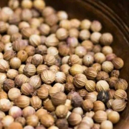 

Ketumbar biji Coriander