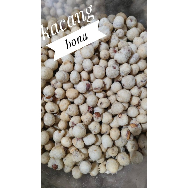 

KACANG BONA