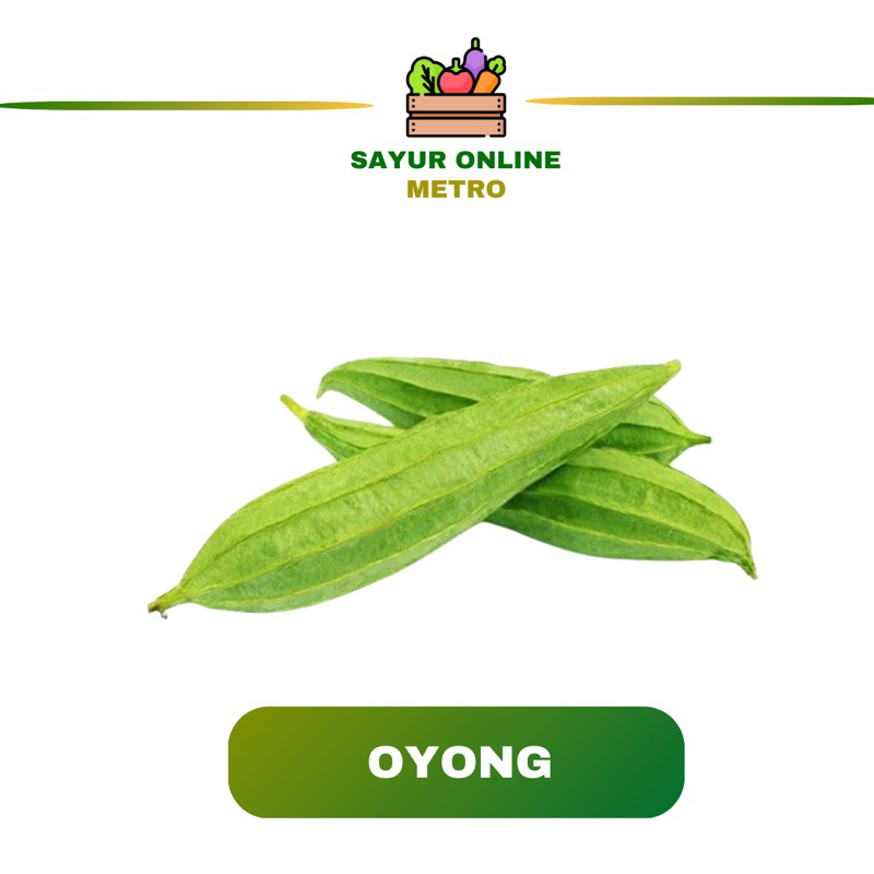 

Oyong / Gambas 250 gram - Sayur Online Metro