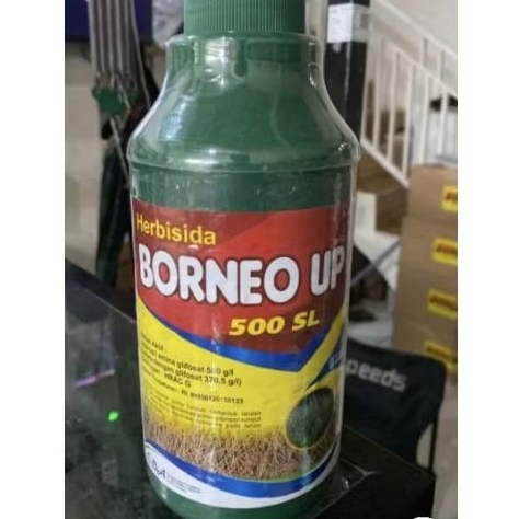HERBISIDA BORNEO UP 500 SL 800 ML