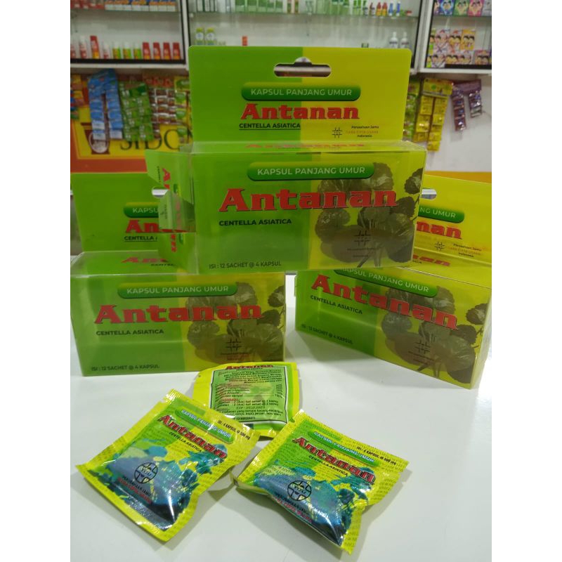 

BOKS MIKA ORIGINAL 12 SACHET