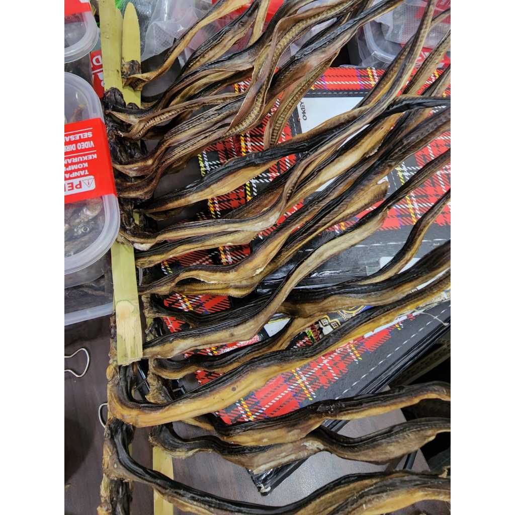 

Belut Kering Tawar Premium | 25 - 100 ekor | Kualitas Istimewa