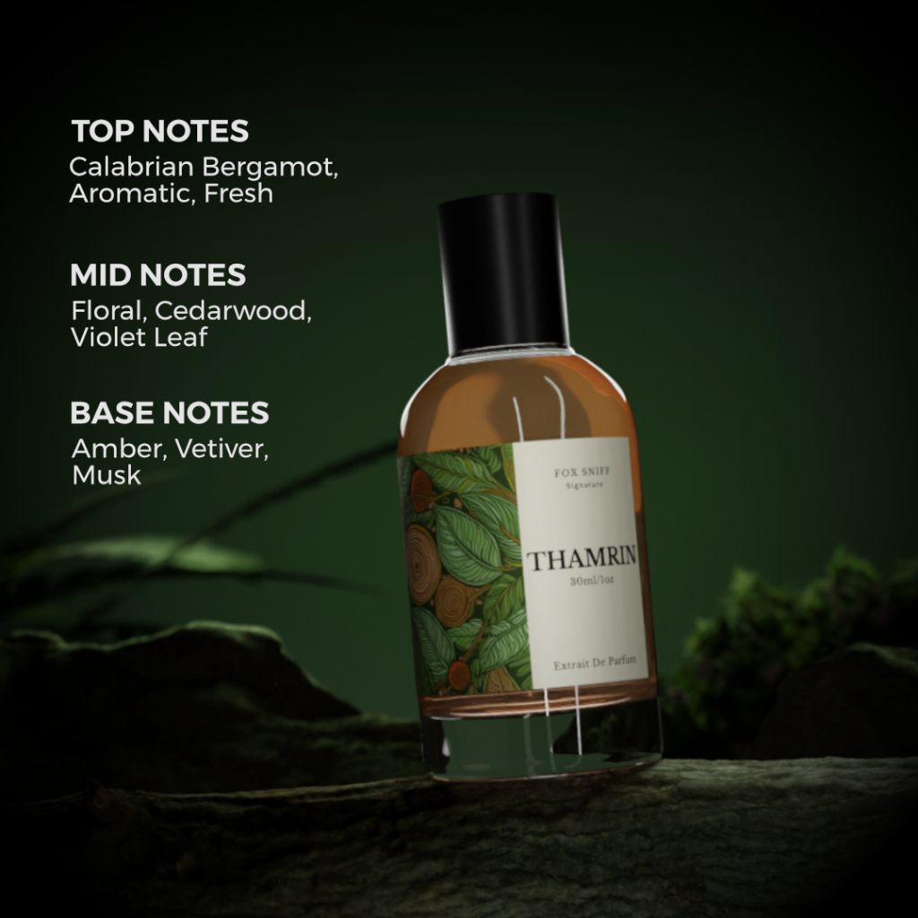 RK Thamrin Perfume for Men Parfum Pria by Fox Sniff