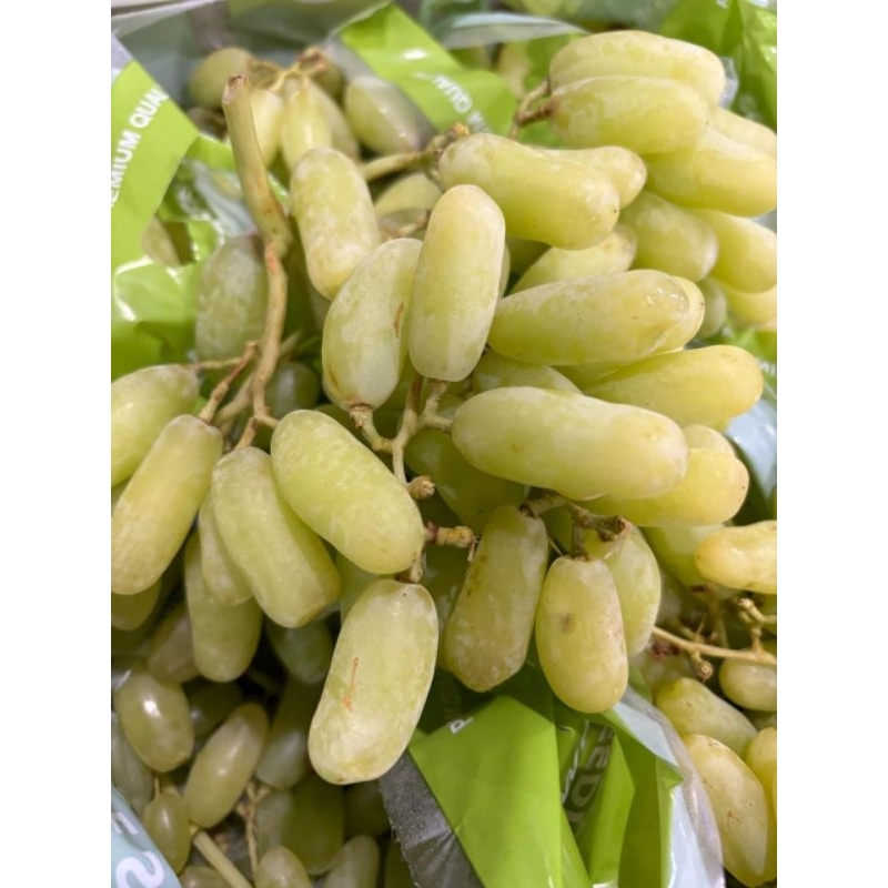 

anggur hijau long Thompson