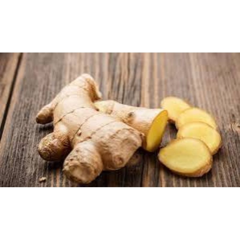 

temu putih asli super 1 kg