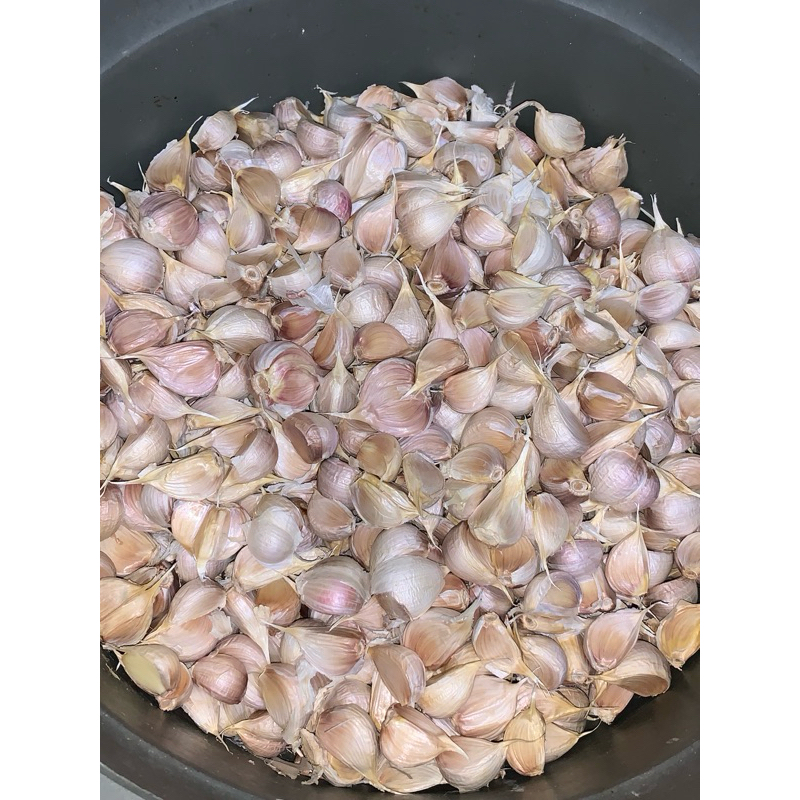 

Bawang Putih Kating 250gr, 500gr, 1kg Cirebon
