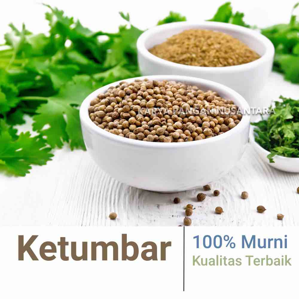 

KETUMBAR MURNI - BIJI KETUMBAR - KETUMBAR BUBUK KASAR GILING MURNI PER GRAM