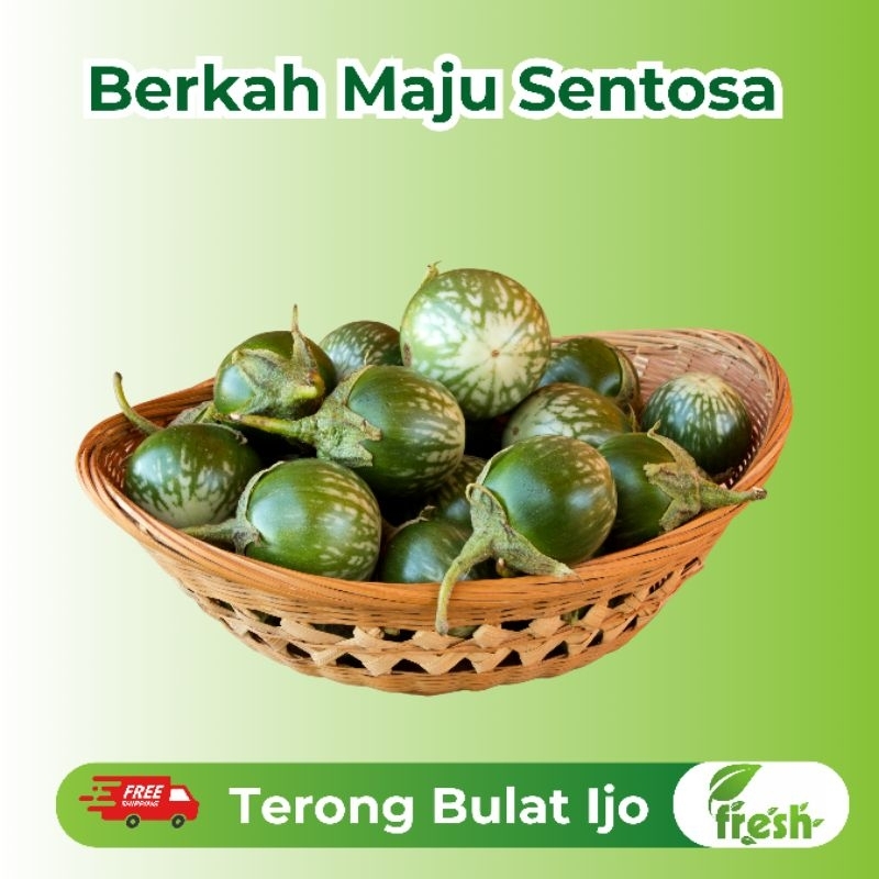 

[INSTANT] Terong Bulat Hijau Fresh 250gr,500gr,1kg