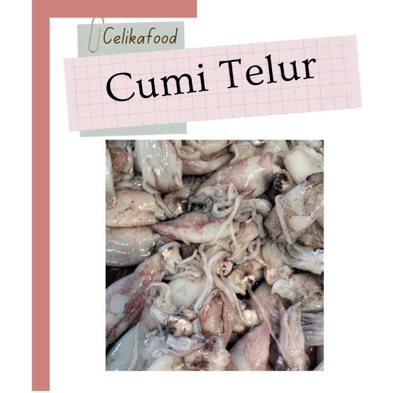 

Cumi Telur 500gr Squid Makanan Laut Seafood