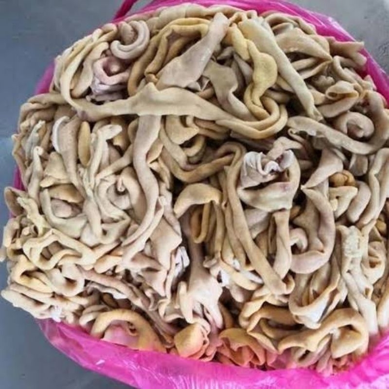 

Usus Ayam