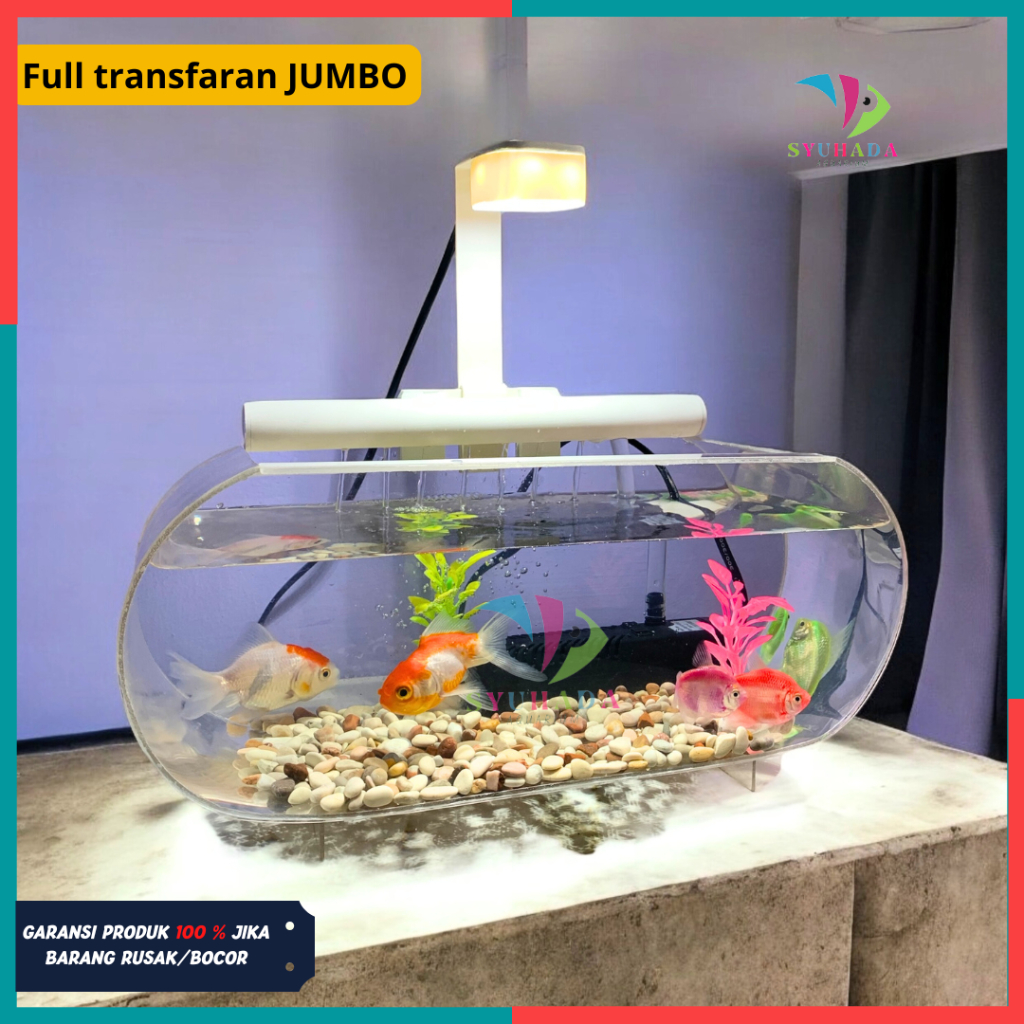 Syuhada Aquarium - Set Lengkap Aquarium JUMBO Akrilik Transparan Minimalis 35X15X15 Tinggal Pakai ( 