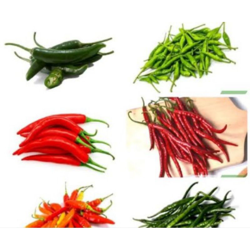 

Aneka cabe segar pasar flamboyan