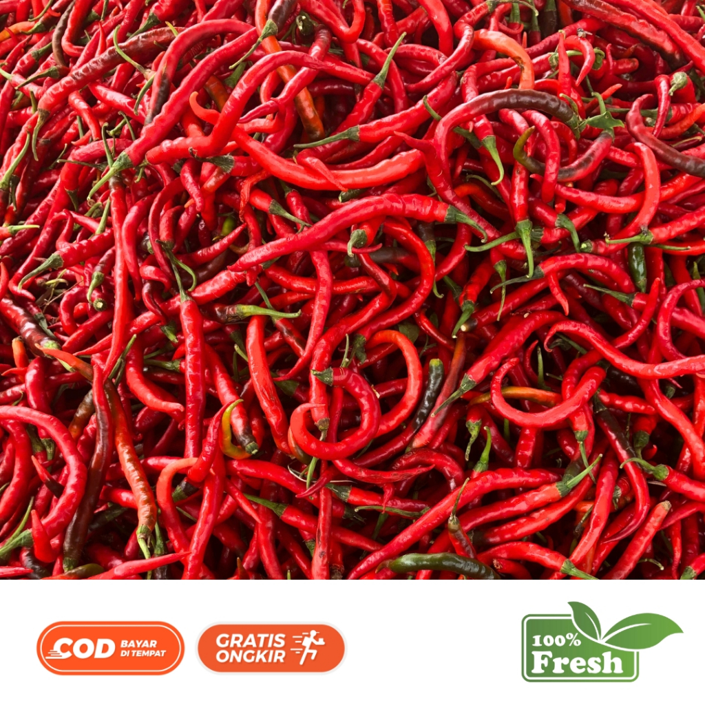 

Cabe Merah Keriting Fress Berat 1 KG Termurah