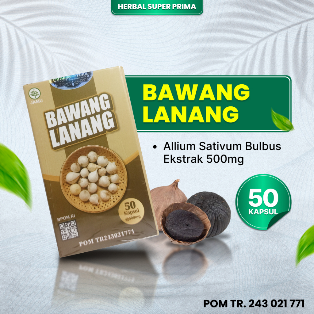 BAWANG LANANG - CV Super Prima - Obat Herbal Hipertensi, Kolesterol, Diabetes & Prostat | 50 Kapsul 