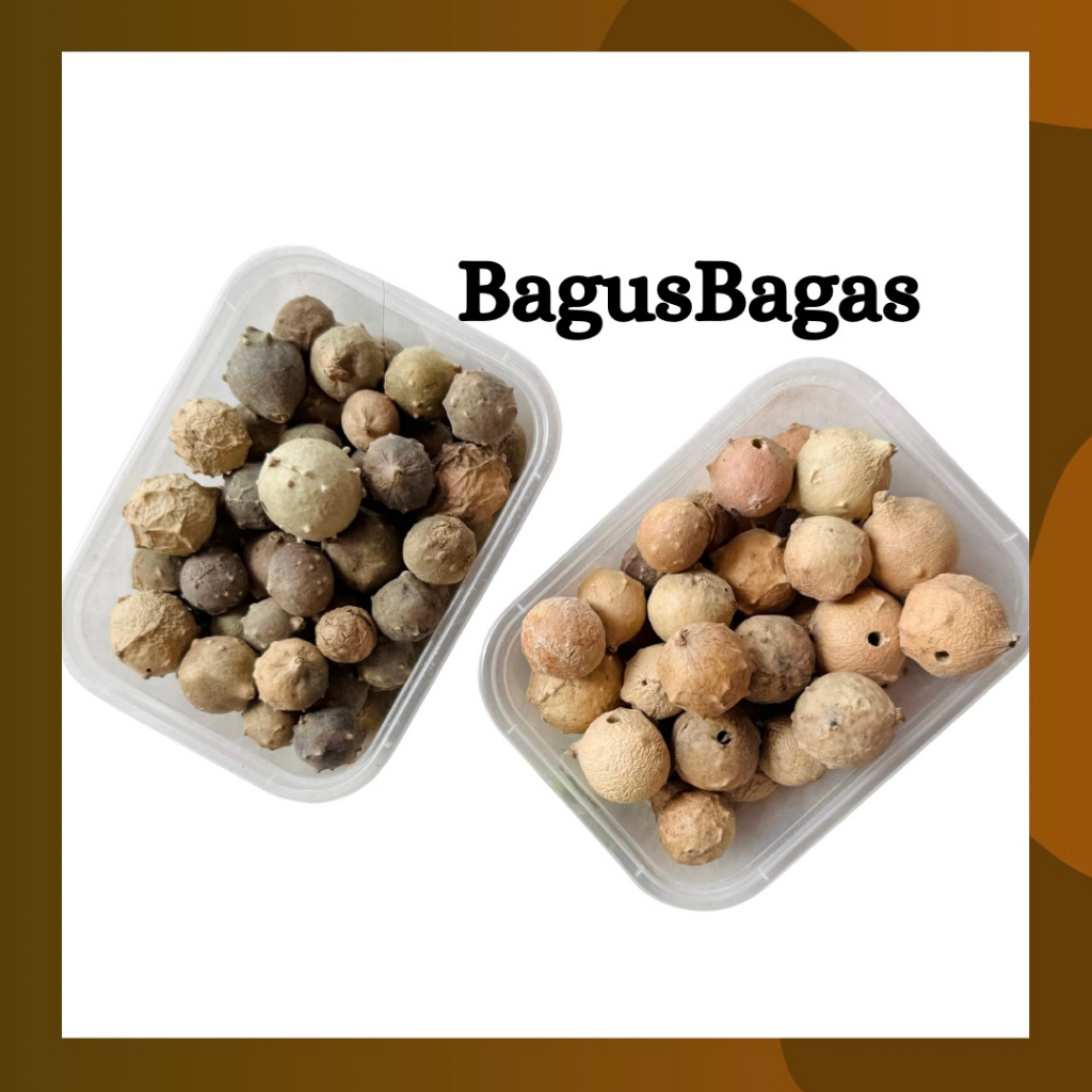 

50gr Manjakani Majakani Majaan Oak Galls SUPER Kayu Rapet Kesat Perawatan Miss V Perawatan V