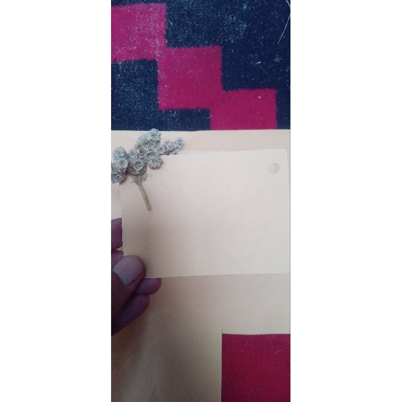 kartu ucapan / greating card / kartu ucapan polos / kartu ucapan costum / kartu ucapan aestetik / ka