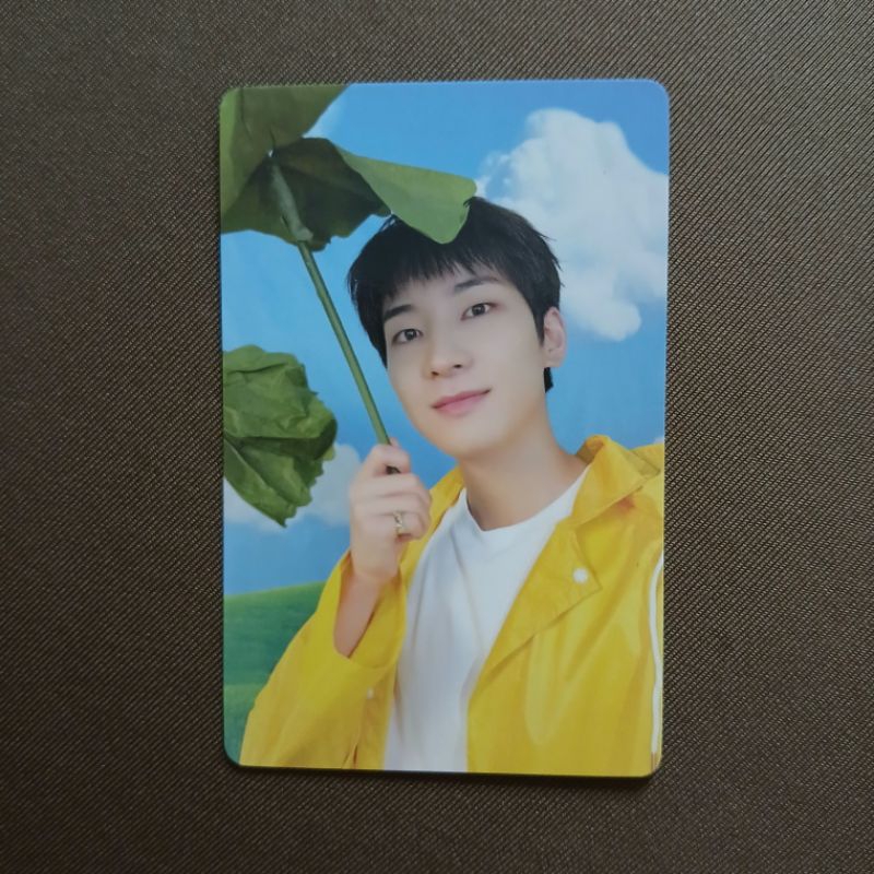 Wonwoo totoro heaven seventeen photocard