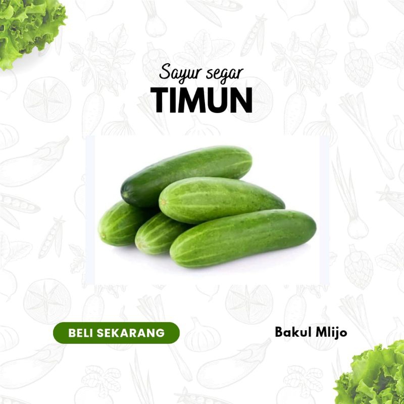 

SAYUR TIMUN SEGAR FRESH 500GR 1KG / SAYUR SEGAR SIDOARJO / BAKUL MLIJO SIDOARJO