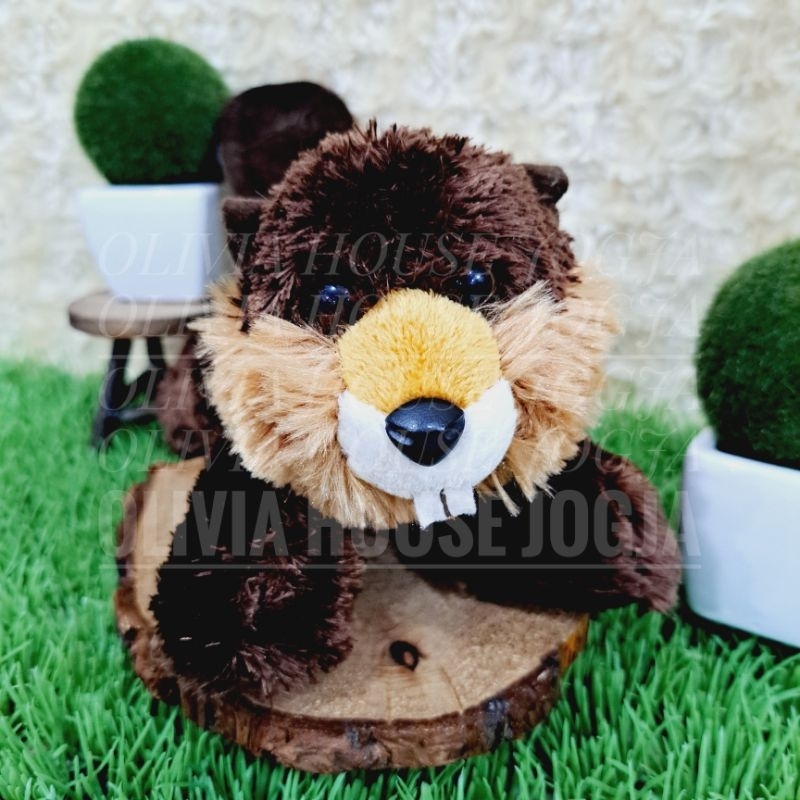 Boneka Berang Berang Coklat Boneka Beaver Boneka Berang Berang Cute