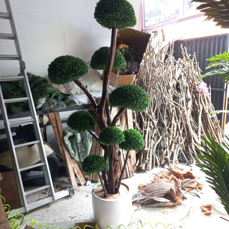 pohon bonsai bola / pohon bonsai artificial