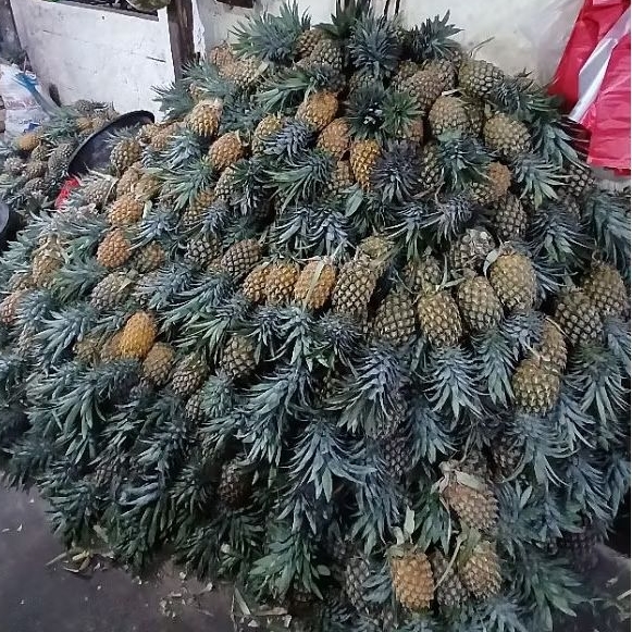 

nanas palembang manis per 1 pcs utuh