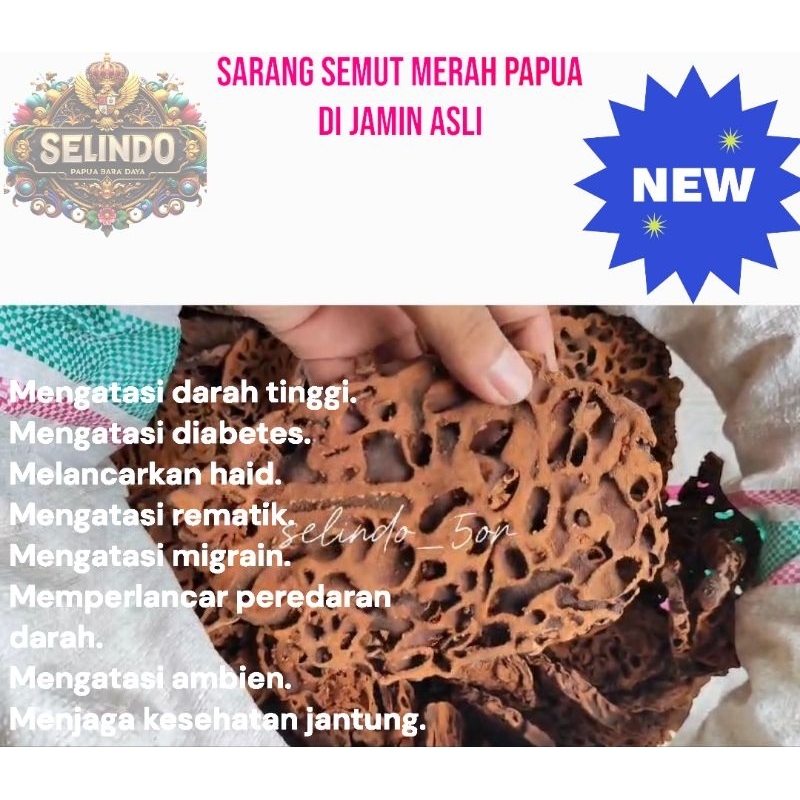 

DIJAMIN ASLI - Sarang Semut Merah Papua kemasan baru dan bagus