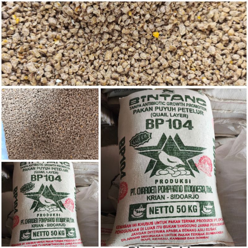Pur puyuh pakan puyuh layer petelur BP104 Layer