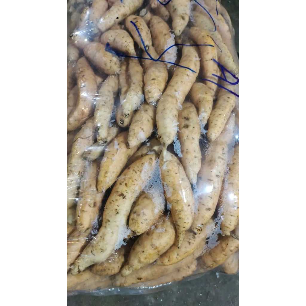 

ketela rambat/telo