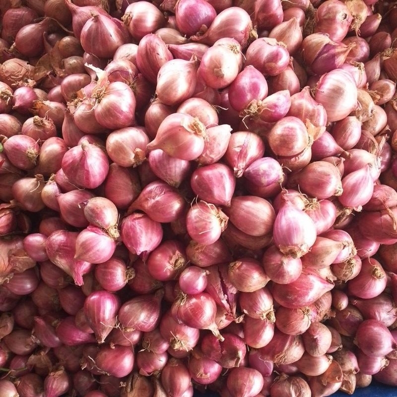 

Bawang Merah