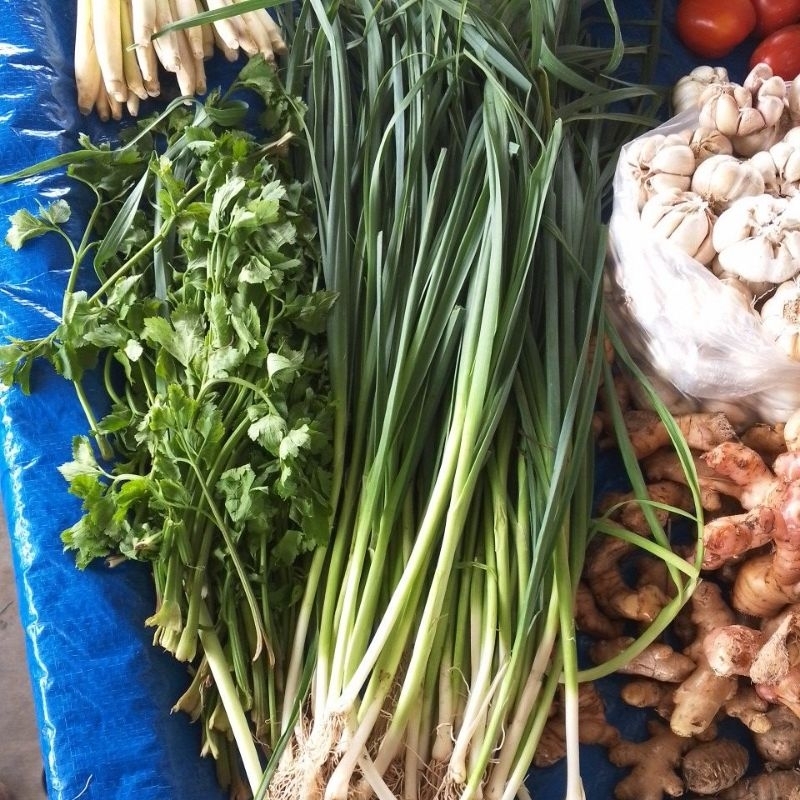 

Daun SOP Prei