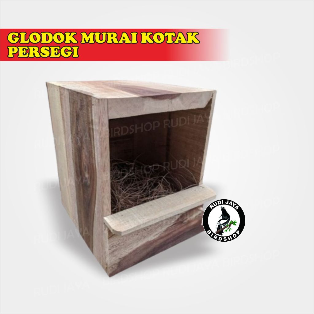 GLODOK MURAI KOTAK PERSEGI GLODOG RUMAH TERNAK BREEDING BURUNG KACER CUCAK ROWO BEO PINTU BELAKANG