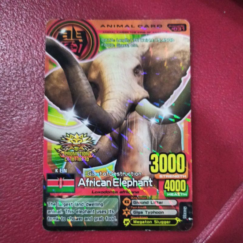 Kartu Animal Kaiser promo limited African Elephant