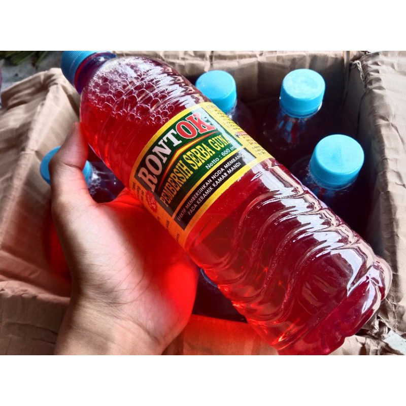 Rontok Pembersih kamar Mandi