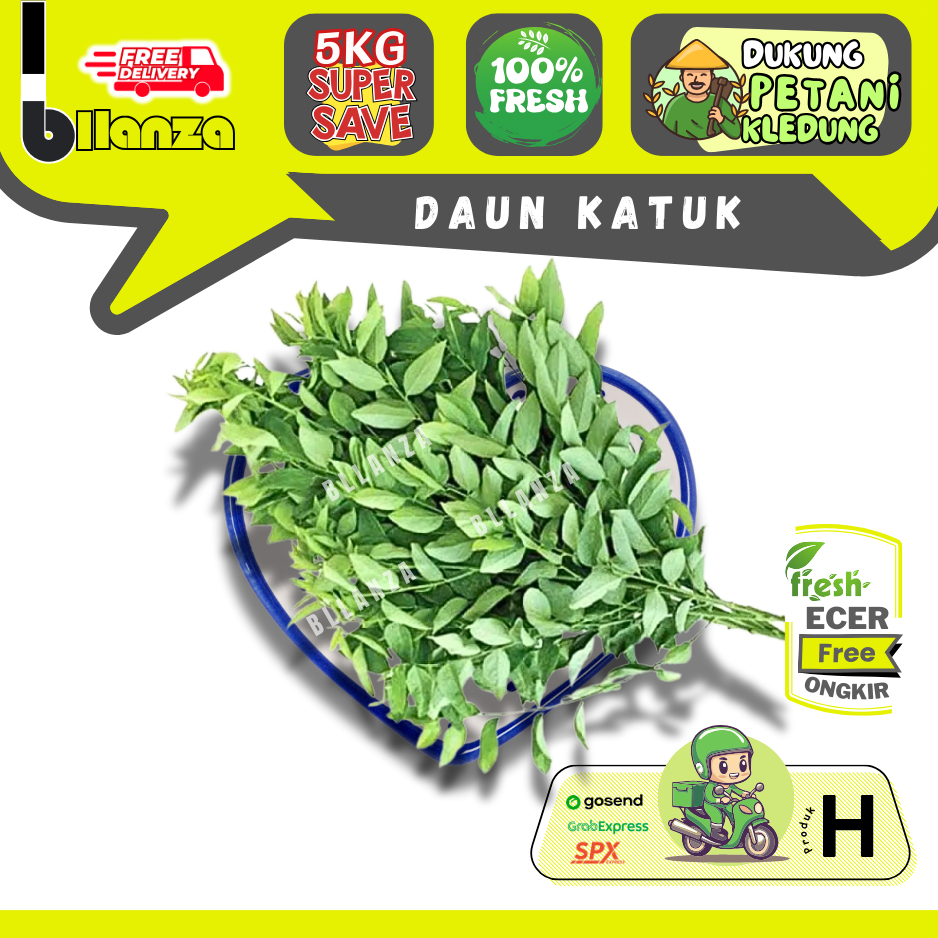 

Bllanza | Katuk / Daun Katuk — Sahabat Makan Sayur ECER (H)