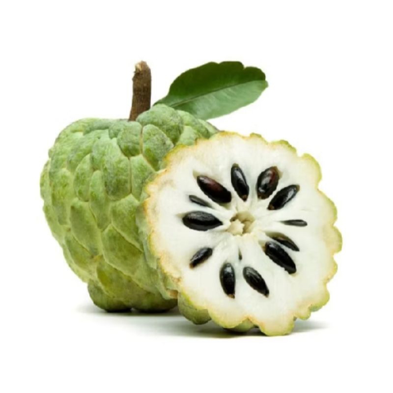 

Fresh Buah Srikaya (1KG) isi 3-6 Segar baru petik