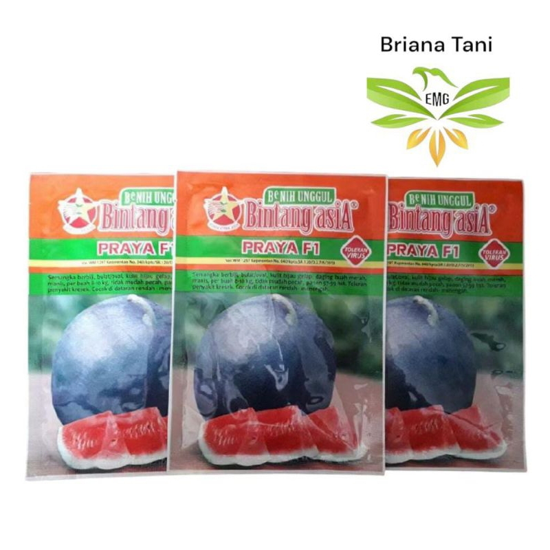 Praya 20gr Benih Semangka Bintang Asia 100% Original Daiwo