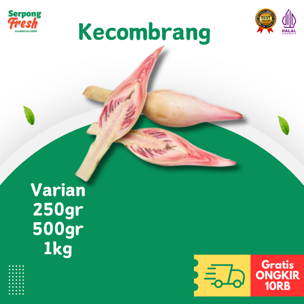 

Kecombrang Bunga Combrang Merah Segar 250gr 500gr 1kg Sayuran Fresh