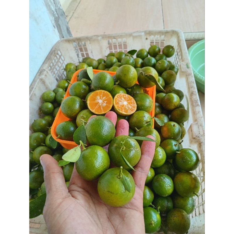 

1.kg jeruk sonkit/kasturi jeruk kunci jeruk lemoncina cui segaar