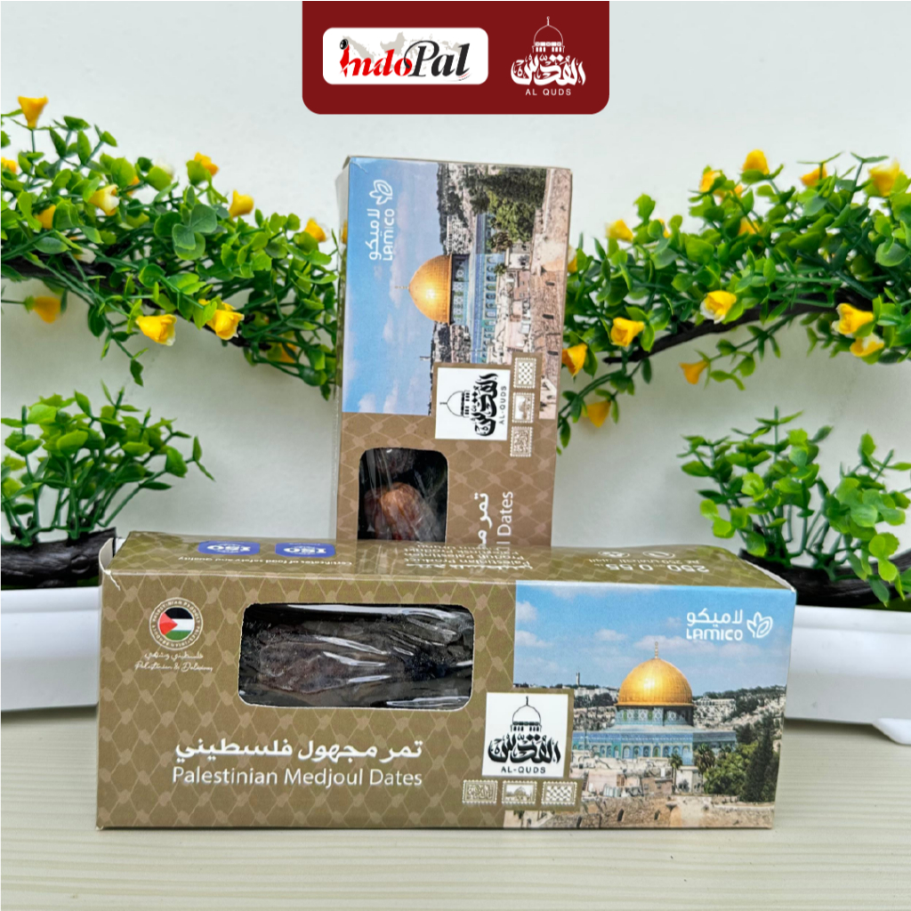 

Kurma Medjool Al Quds Palestina 1kg Elite Terbaru