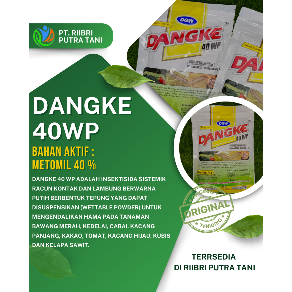 INSEKTISIDA DANGKE 40WP