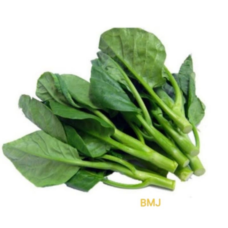 

Sayur Kalian / Ketna / Sawi Kailan segar