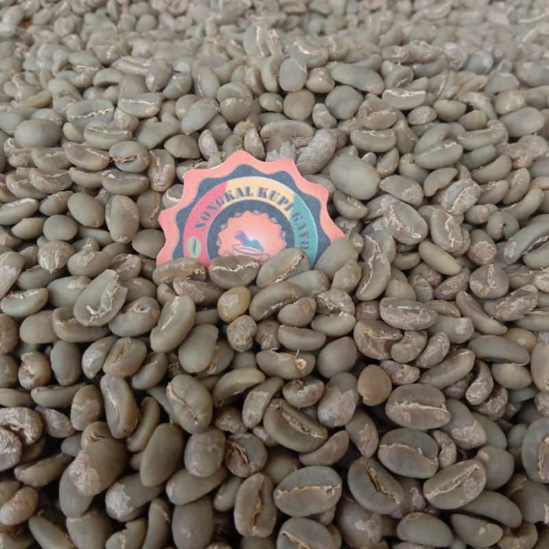 

Arabica Gayo Fully Wash 1450 mdpl