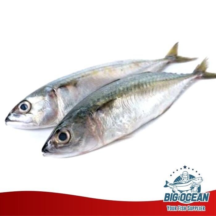 

Ikan Kembung Banjar @1kg