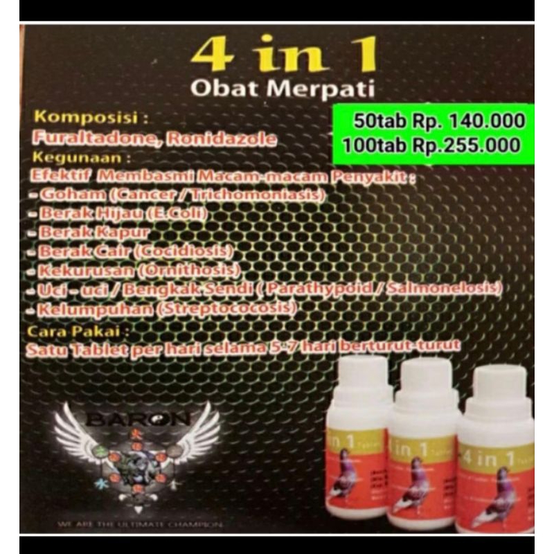 4 in 1 baron merpati