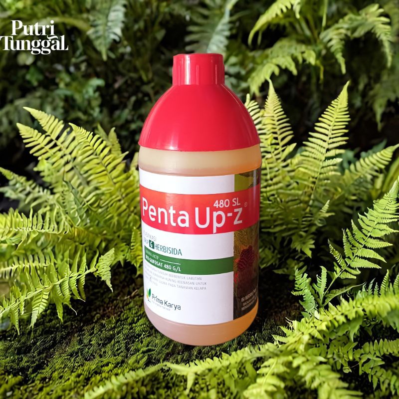 penta up-z 480SL herbisida pembasmi gulma +free penta furon