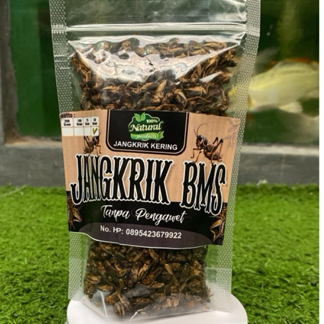 JANGKRIK KERING 25 GRAM - pakan burung dan reptil