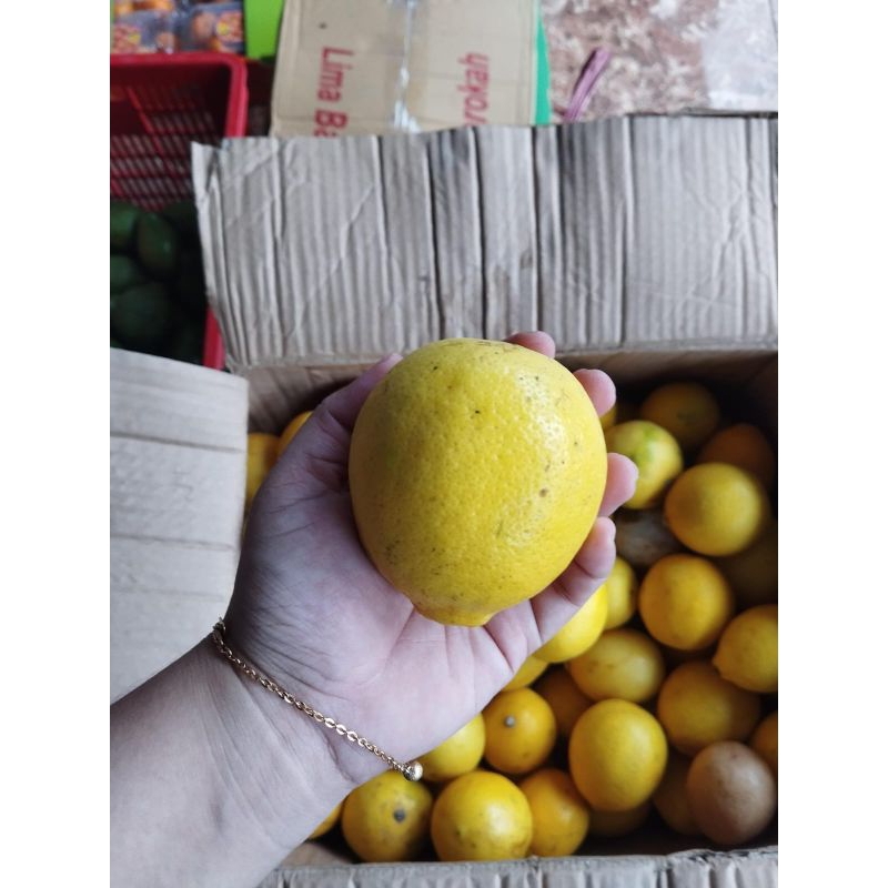 

Lemon Lokal -+1kg