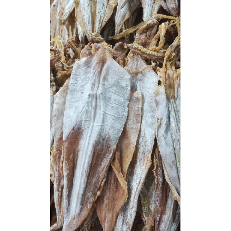 

JIUHE / JIHE / SOTONG BESAR SIAP PANGKONG PONTIANAK